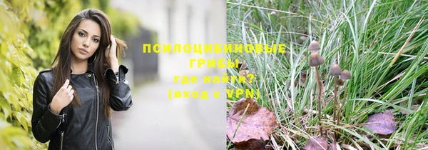 прущий лед Липки
