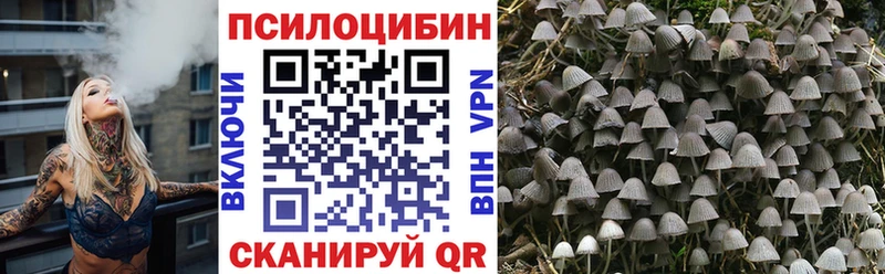 Галлюциногенные грибы мухоморы  Новотитаровская 